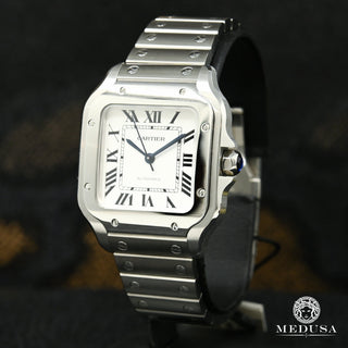 36mm Cartier Santos White - Stainless