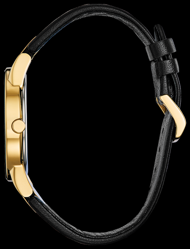 Montre Citizen | Montre Homme Citizen Axiom AU1062-05E Or Jaune