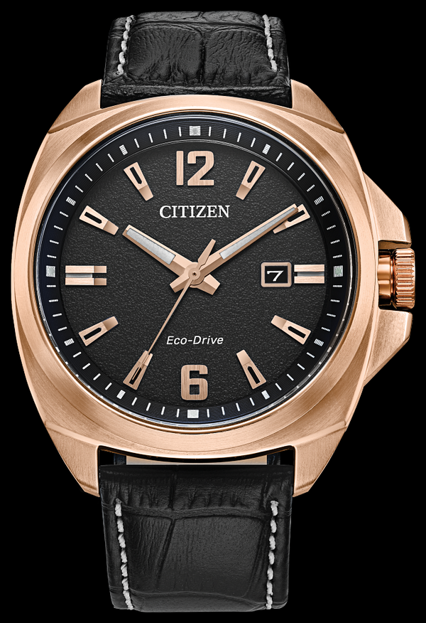citizen-endicott-aw1723-02e- citizen-endicott-aw1723-02e-