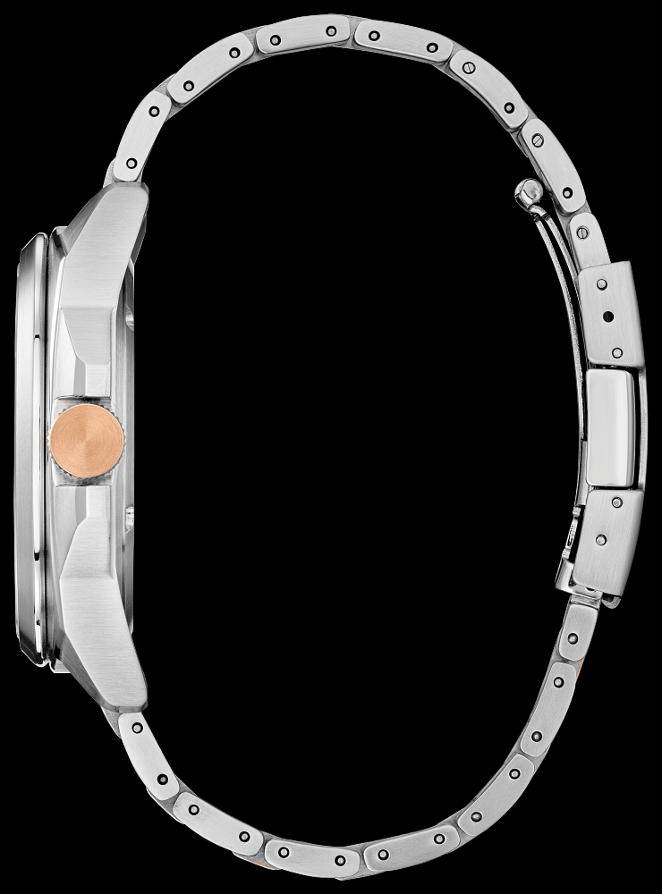 Montre Citizen | Montre Homme Citizen Endicott AW1726-55L Or Rose 2 Tons