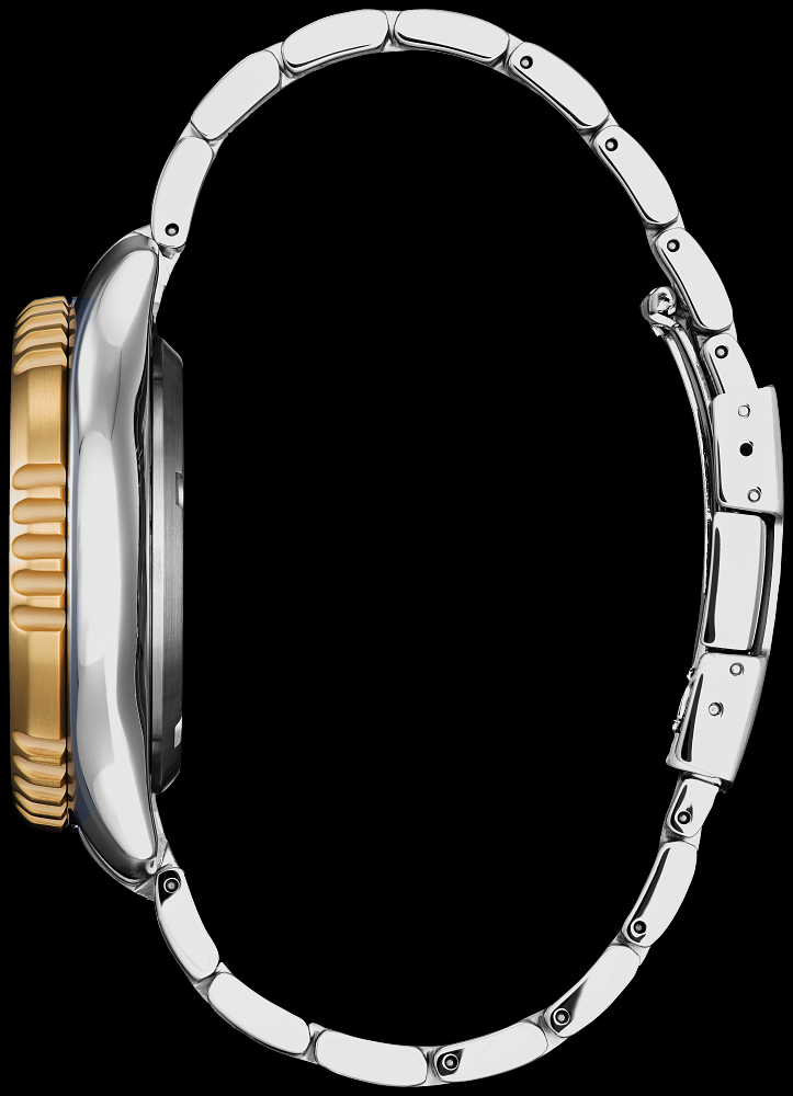 Montre Citizen | Montre Homme Citizen Promaster Dive Automatic NY0154-51L Or 2 Tons