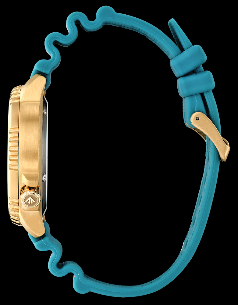 Montre Citizen | Montre Homme Citizen Promaster Dive BN0162-02X Or Jaune