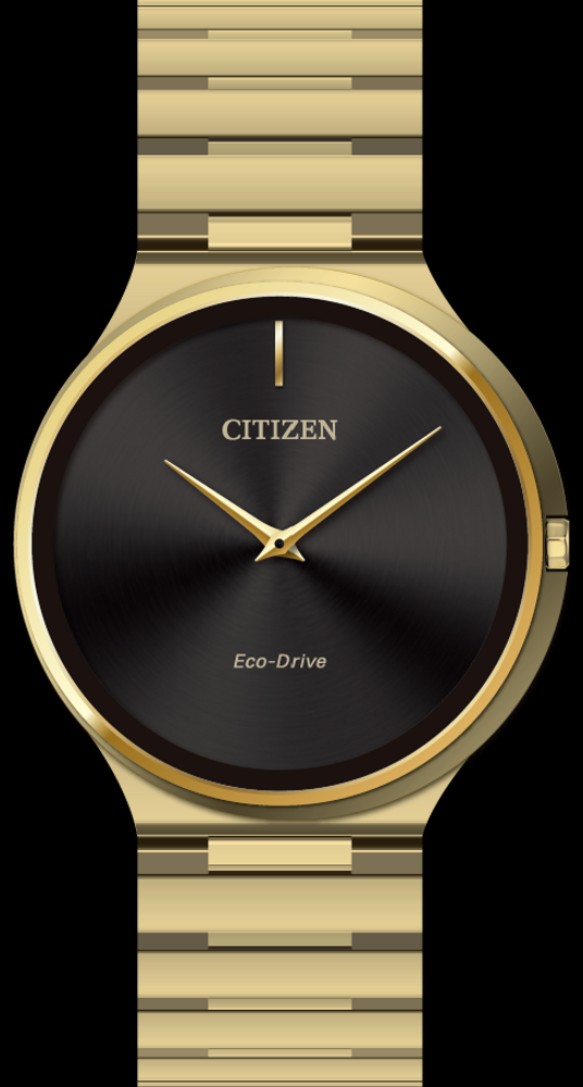 Citizen Watch | Citizen Stiletto AR3112-57E Men's Watch | Medusa