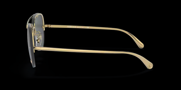Versace Glasses | Versace Iconic - 0VE2231 Men's Glasses | Medusa