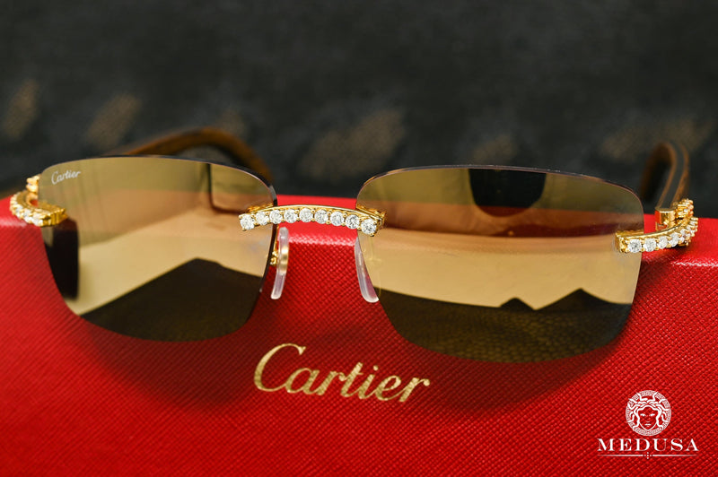 Cartier Big C Glasses with Gold Detail & Purple Lens CT0092O-001 – All Eyes  On Me